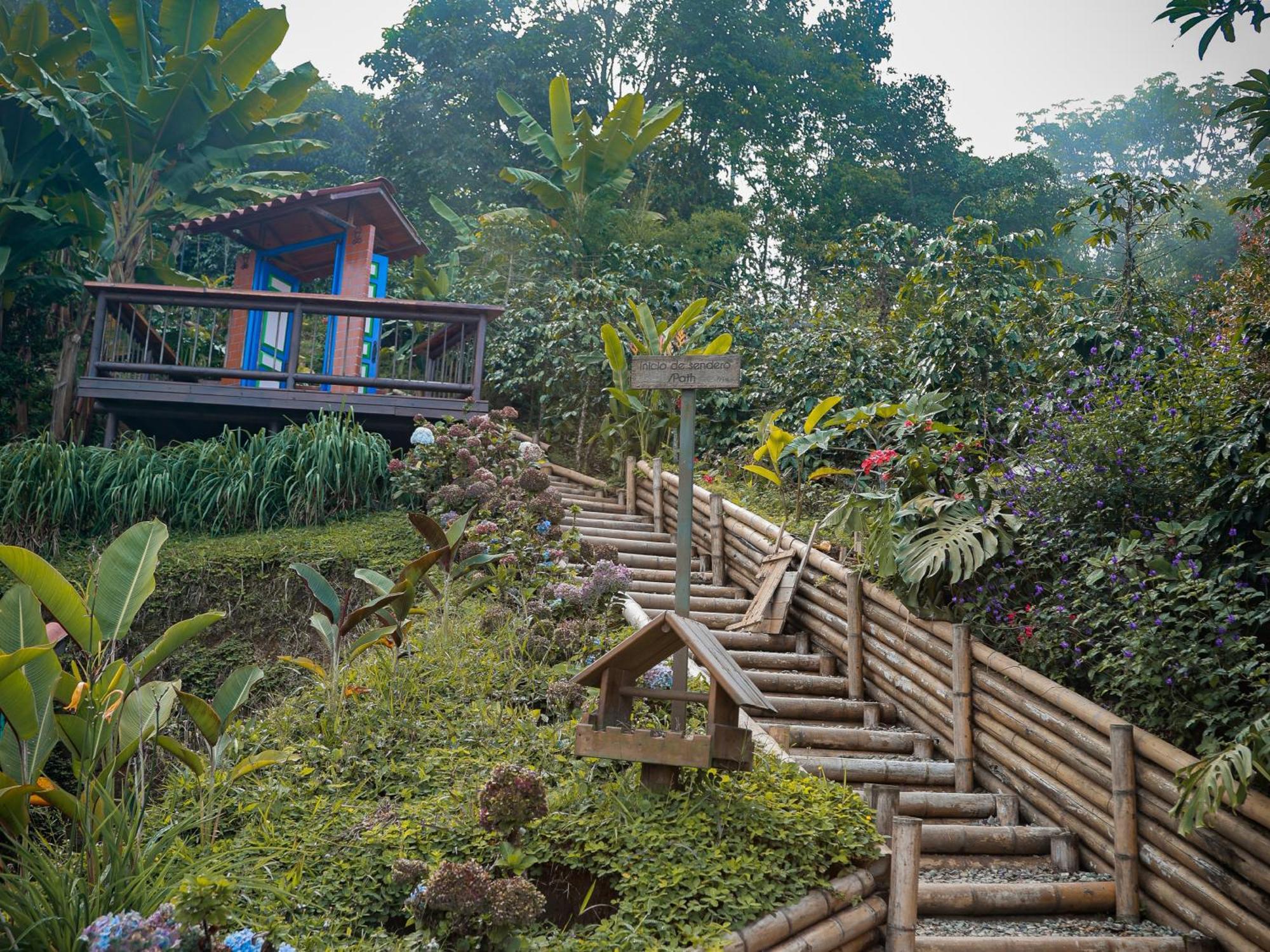 Buenavista  La Cima Eco Hotel מראה חיצוני תמונה