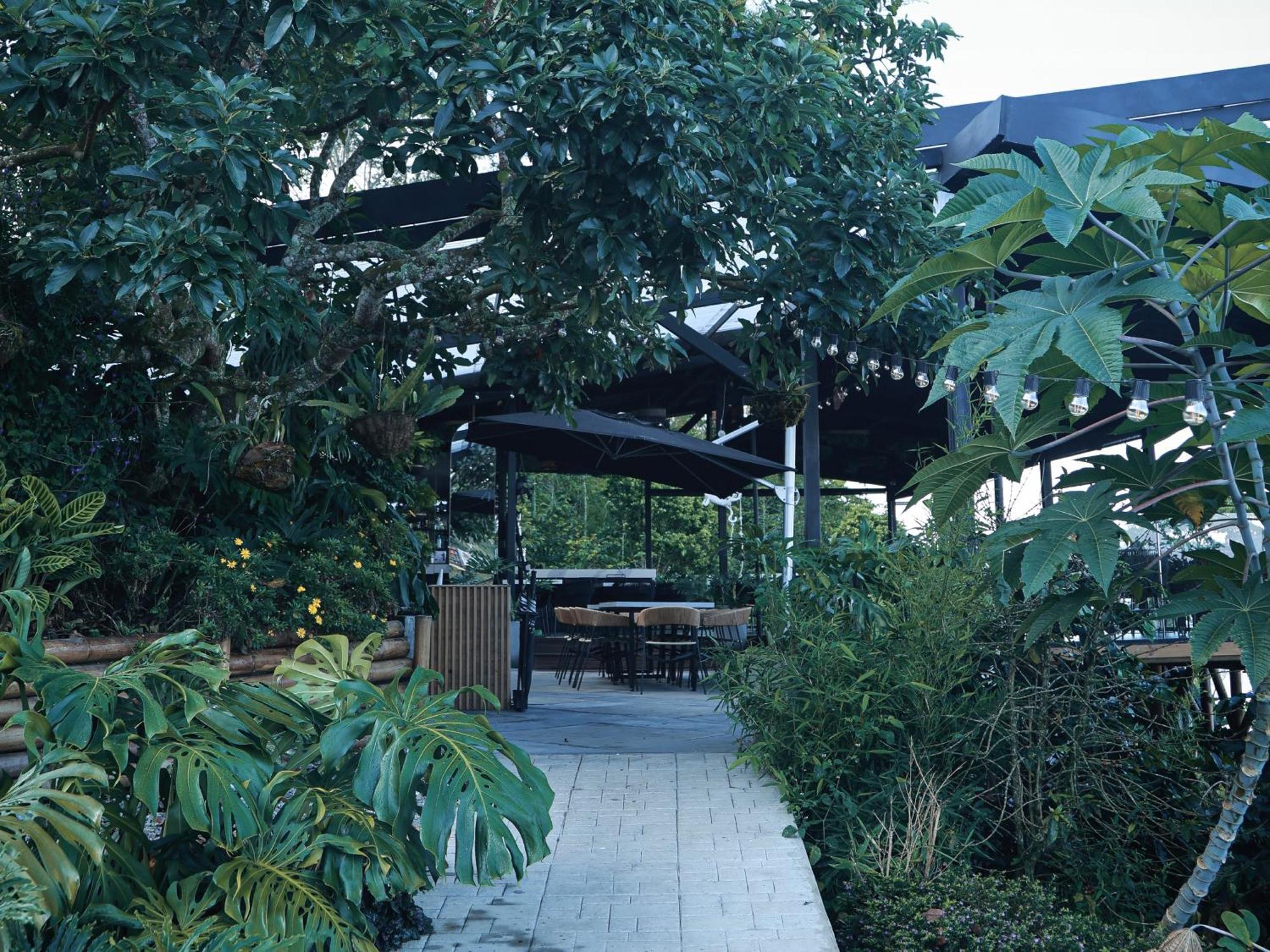 Buenavista  La Cima Eco Hotel מראה חיצוני תמונה